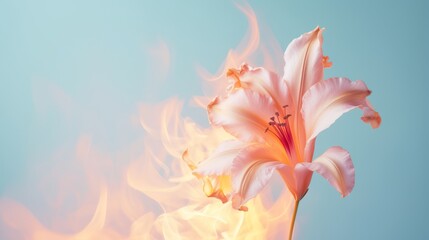 Flower burning in flames on pastel background
