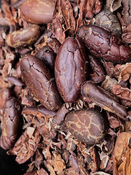 Chocolate Natural, Cacao Colombiano, Cacao de Colombia