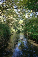 Ilm im Park an der Ilm in Weimar