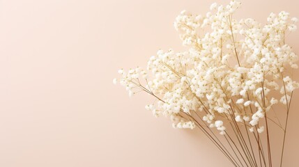 Delicate Blooms - Baby's Breath on Soft Beige.