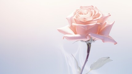 Single Rose Silhouette - Elegant Pastel