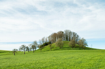 Bavaria hill meadow landscape
