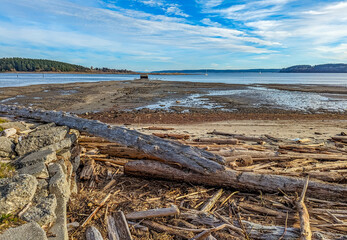 Oak Harbor Landscape