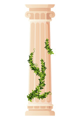 Ancient ivy covered column. Museum and exhibition. Cartoon greek or roman pillar with climbing ivy branches. Antique foliage decorated element. Cartoon flat isolated on white