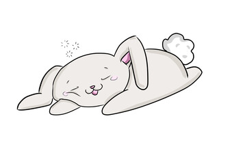 Cute bunny happy and sleeping