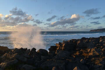screensaver of nature details