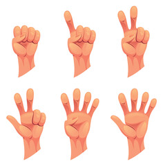 Hand gesture sign fist arm, isolated icon set. Finger counting. Sign language. Set of realistic human hands, signs. graphic design illustration