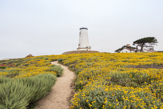 Path leading to Piedras Blancas Light Station, California