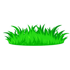 green grass Vector. Illustration Cartoon Grass