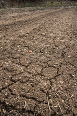 Cracked land, farmland cracked by drought