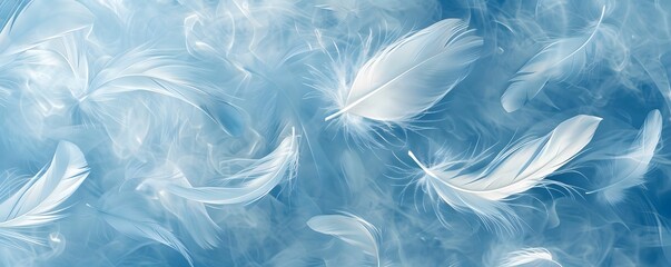Ethereal Feathers in Blue - obrazy, fototapety, plakaty