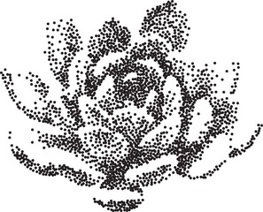 Succulent with a grainy photocopy effect. Grunge dotted element with stippling effect in a anti-design style. Vector illustration.	