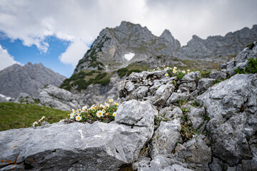 Im alpinen Hochgebirge - bizarres Geröll und schroffe Felsformationen.Landschaftsfoto. - obrazy, fototapety, plakaty