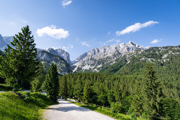 Alpenlandschaften - wunderschöner Bergwald vor einem majestätischen Hochgebirge. - 776104842