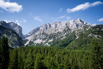 Alpenlandschaften - wunderschöner Bergwald vor einem majestätischen Hochgebirge.