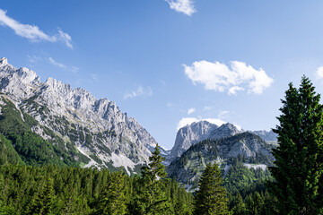 Alpenlandschaften - wunderschöner Bergwald vor einem majestätischen Hochgebirge. - 776104885