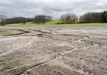 Bodenerosion - verschlemmte und ausgewaschene Getreidefläche in Winter nach heftigen Regenfällen, Symbolfoto.. - 776105268
