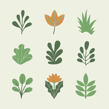 set of plant leaves vector