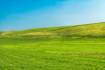 Green hills and blue sky. Spring green grass. Summer travel. Natural spring or summer green...