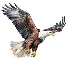 Bald eagle. Bald eagle clipart. Watercolor illustration. Generative AI. Detailed illustration.