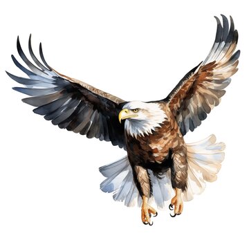 recommend clip art: Bald eagle. Bald eagle clipart. Watercolor illustration. Generative AI. Detailed illustration.