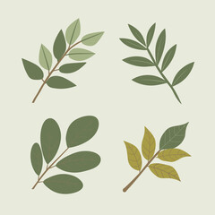 Flat style green leaves collection