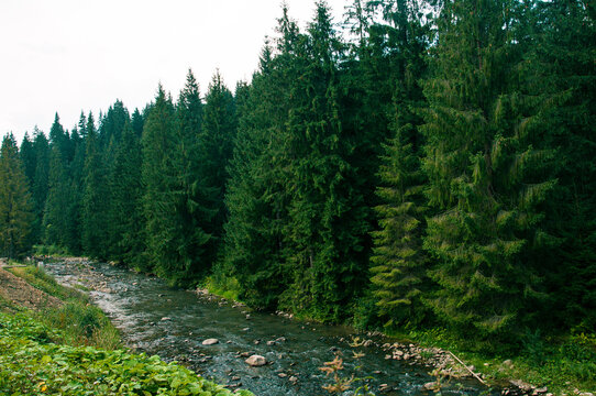 small Carpathians river from Ukraine
