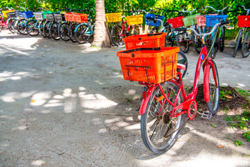 Fototapeta na wymiar Going by bike in La Digue Island, Seychelles