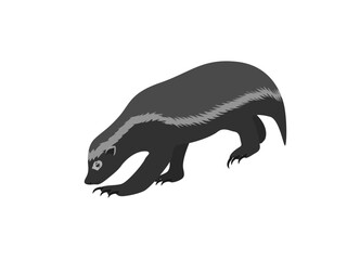 badger on a white background.