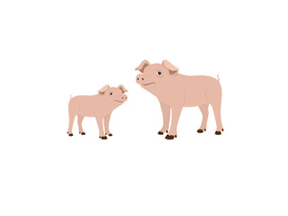 piglet on a white background.