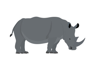 rhinoceros on a white background.