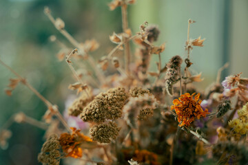 Dry flowers. Bouquet of dried flowers.  Summer days. Composition with many different dried flowers....