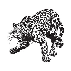 Attacking leopard vector illustration in black and white Background