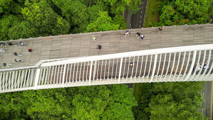 Aerial view of Henderson Waves Bridge in Singapore