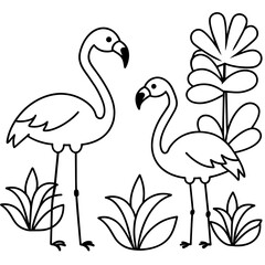 set of flamingos