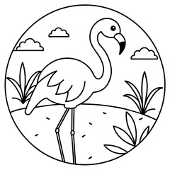 black and white bird