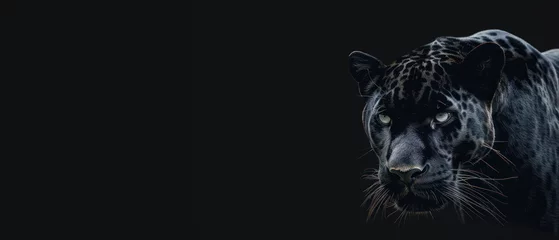 Tuinposter A powerful and intense frontal portrait of a black panther with a focused gaze, set against a stark black background © Fxquadro