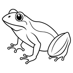 frog on white