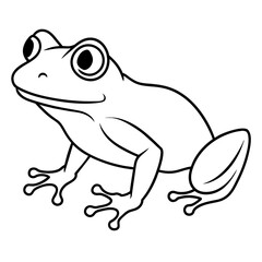 frog on white