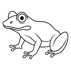 frog on white background