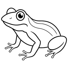 frog on white background