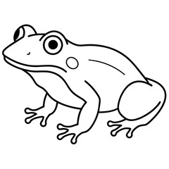 frog on white background