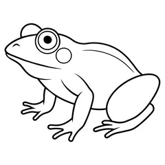 frog on white background