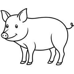 pig cartoon