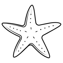 illustration of a starfish