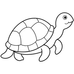 turtle illustration
