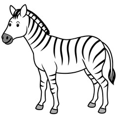 zebra vector illustration