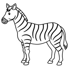 zebra vector illustration