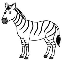 zebra vector illustration