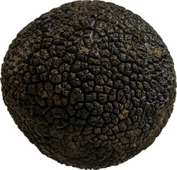 Premium gourmet black truffle isolated cut out on transparent background